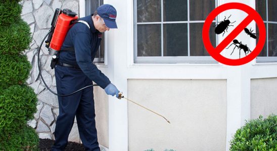 Çukurca Böcek İlaçlama böcek ilaçlama ve haşere kontrolü — ilaclama-tr.com